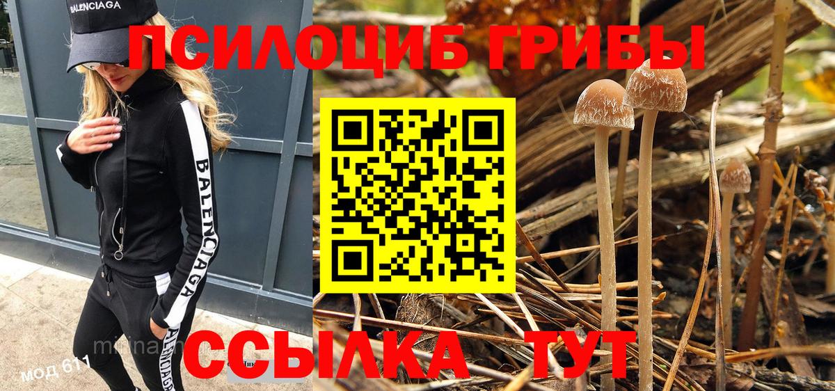 Валуйки  Галлюциногенные грибы Cubensis  Галлюциногенные грибы мицелий  Вход с VPN 